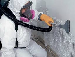 Professional Mold Inspection in West Point, MS